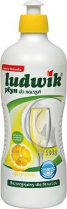 LUDWIK-1